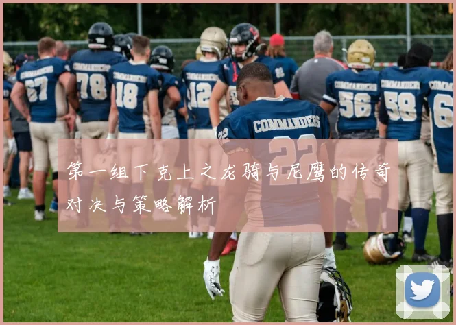 第一组下克上之龙骑与尼鹰的传奇对决与策略解析